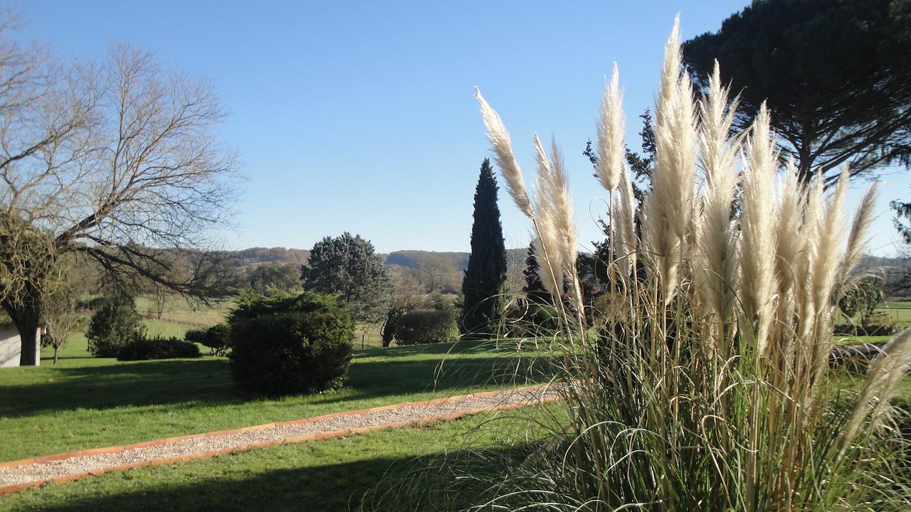 Bed and Breakfast Domaine De Poudos Auterive  Esterno foto