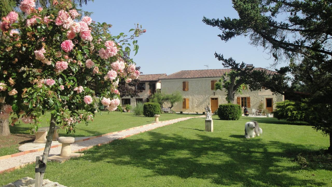 Bed and Breakfast Domaine De Poudos Auterive  Esterno foto